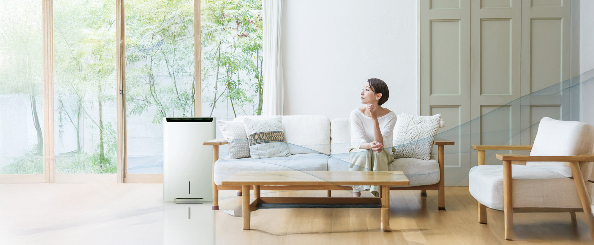Dehumidifiers / Air Purifiers
