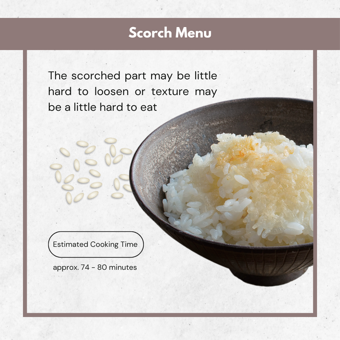 Zojirushi Mini IH Pressure Rice Cooker | NP-RLQ05 (0.5L)