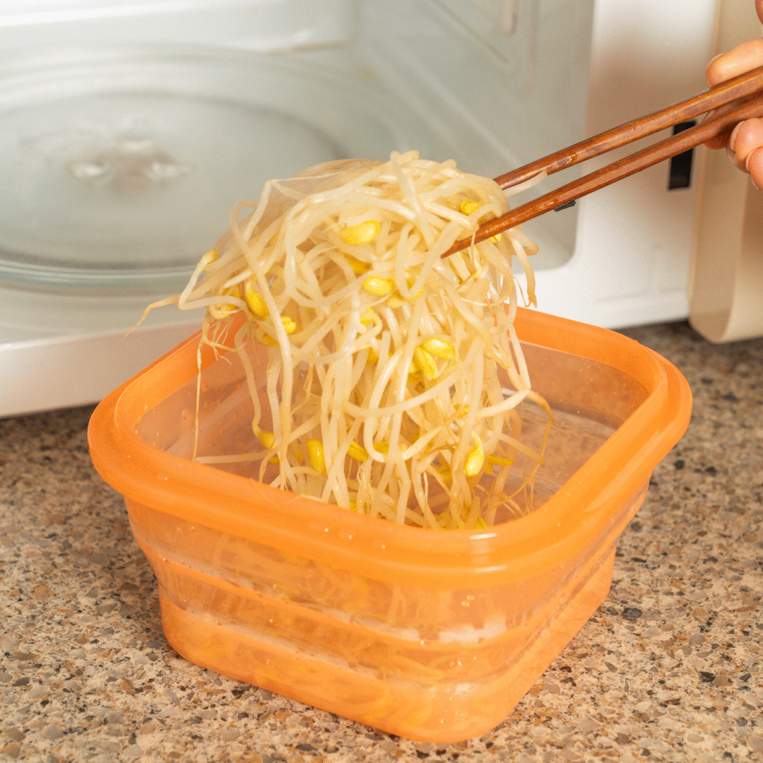 Living Creator Push Lock Collapsible Lunch Box 200ml | LI-PL200