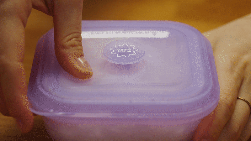 Living Creator Push Lock Collapsible Lunch Box 200ml | LI-PL200