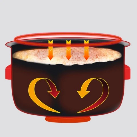 Zojirushi Fuzzy Logic Micom Rice Cooker | NL-EAQ Series (1.0L / 1.8L)