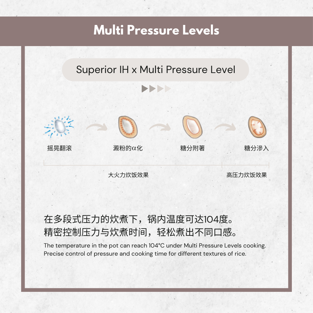 Zojirushi Mini IH Pressure Rice Cooker | NP-RLQ05 (0.5L)