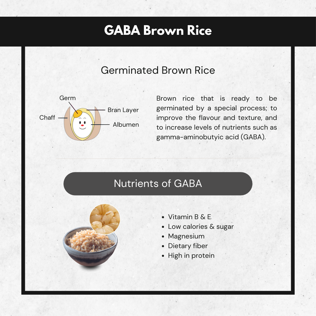 Zojirushi Fuzzy Logic Multifunction Rice Cooker | NL-GAQ Series (1.0L / 1.8L)