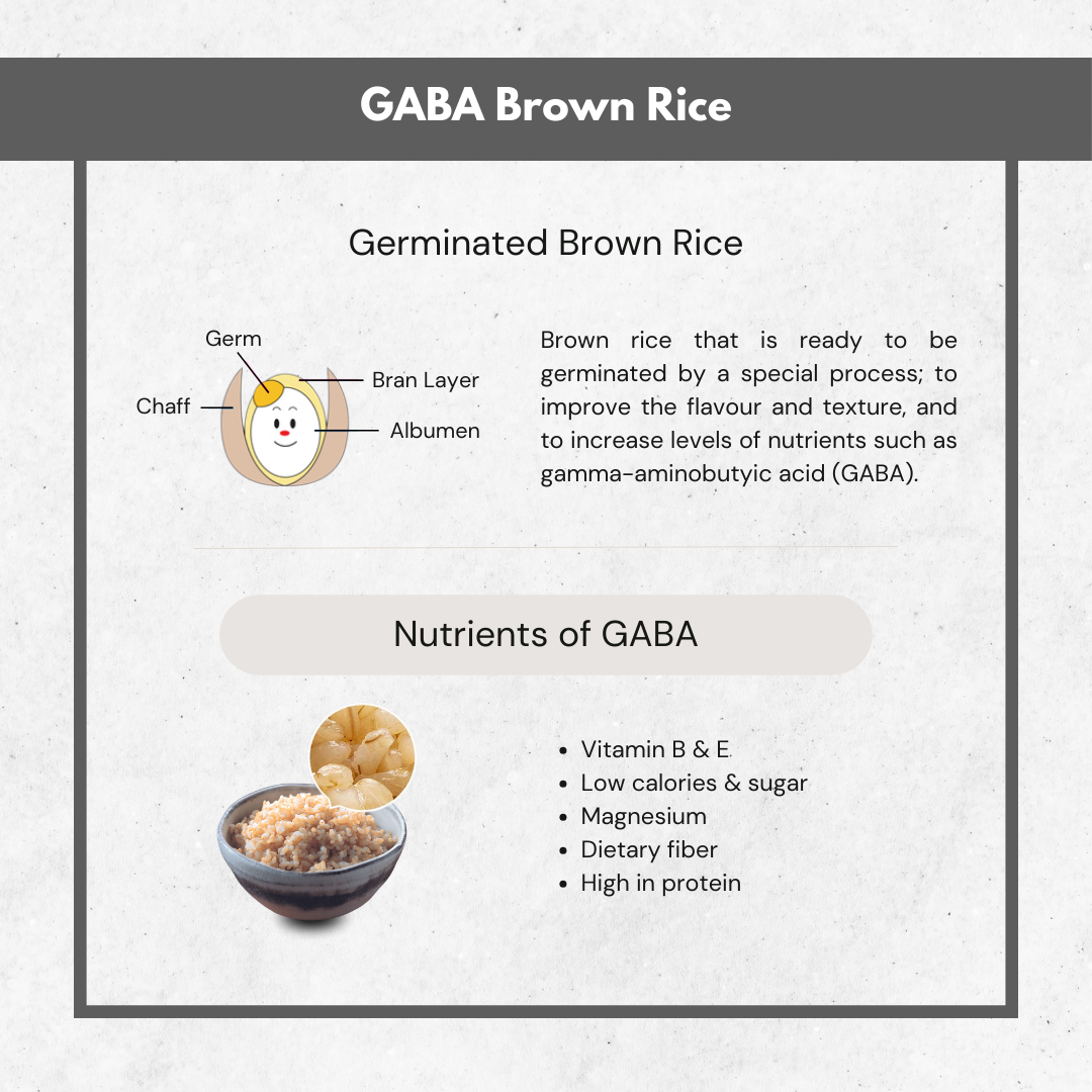 Zojirushi Mini IH Rice Cooker | NP-GKQ05 (0.5L)