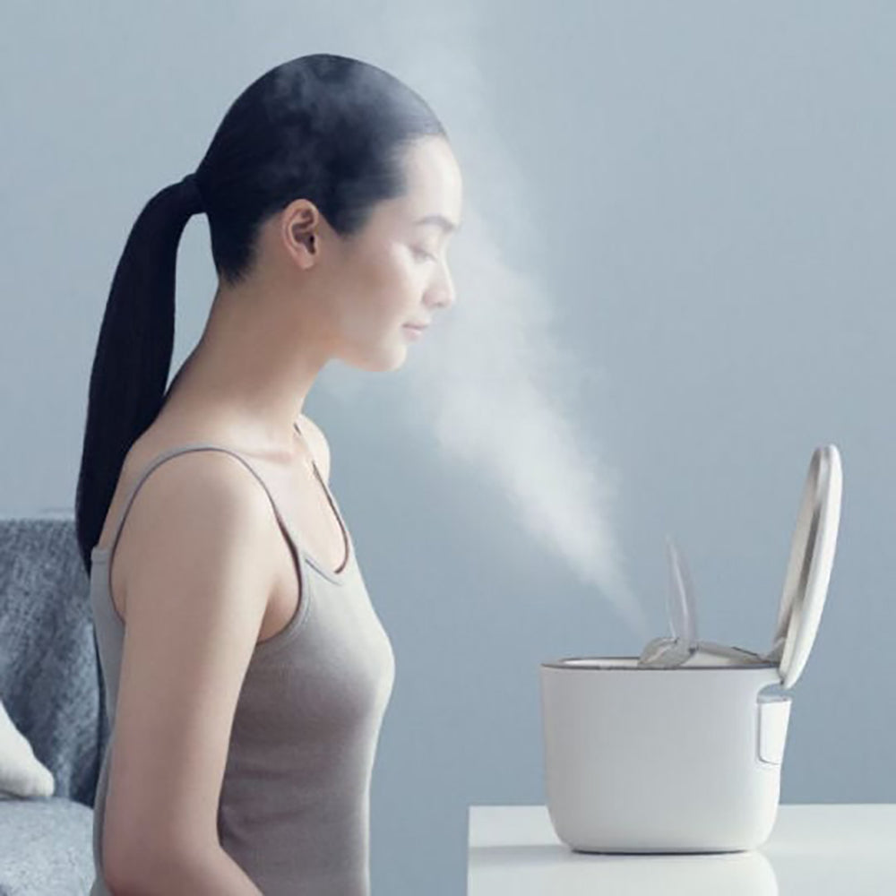 Panasonic Aroma Facial Ionic Steamer | EH-SA97