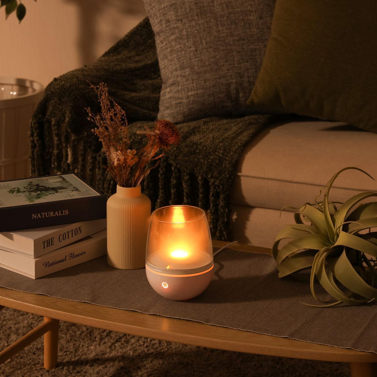 ELAiCE Aromist Glass Diffuser | EK-AMG25