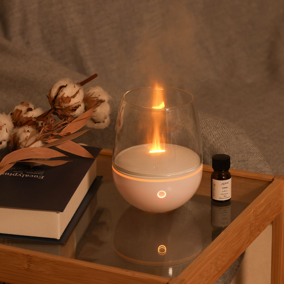 ELAiCE Aromist Glass Diffuser | EK-AMG25
