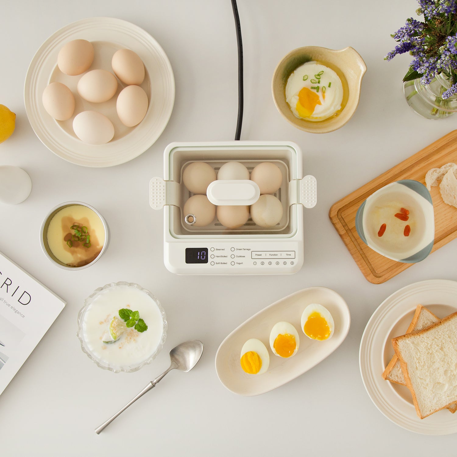 BRUNO Mini Food Steamer / Egg Boiler｜BAK815